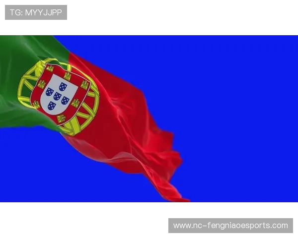 葡萄牙足球明星旗帜设计与象征意义全解析